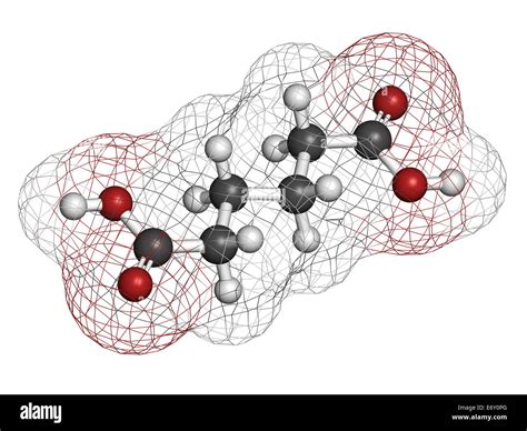 Adipiczuur: Versneller van Synthetische Polymeren en Versterker van Nylon Productie!